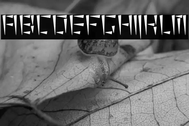 cuneiform Font examples