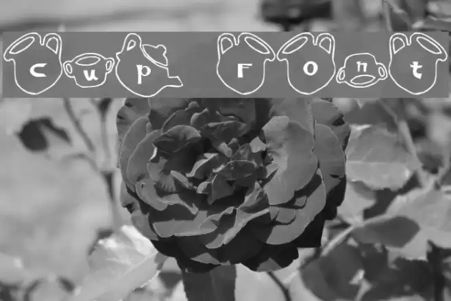 cup Font Font examples