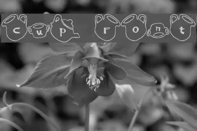 cup Font Font examples