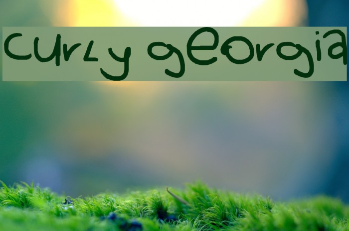 curly georgia Font examples