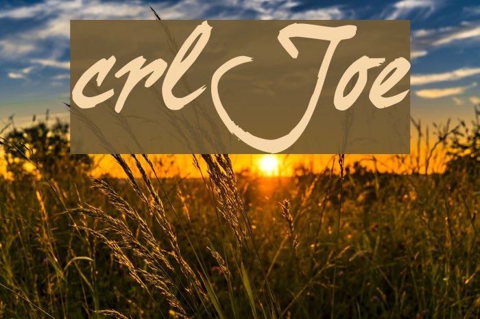 curlyJoe Font examples