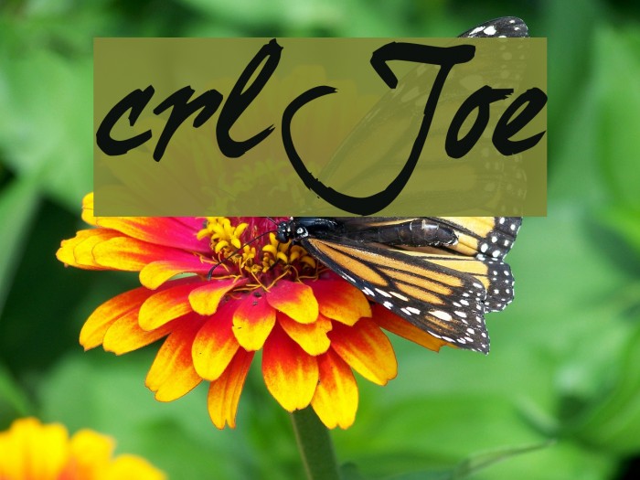 curlyJoe Font examples