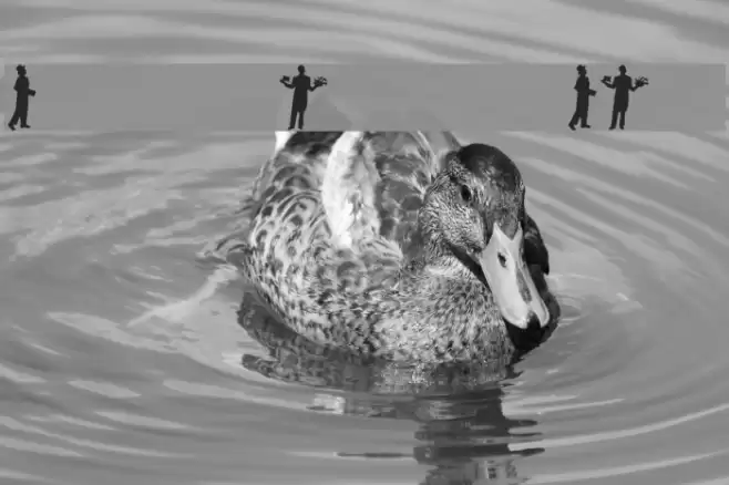 curtain call Font examples