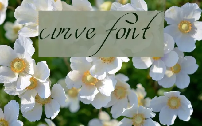 curve font Example 1