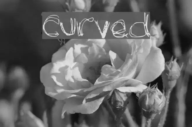 curved Font examples