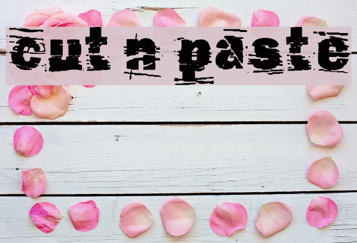 cut n paste Font examples