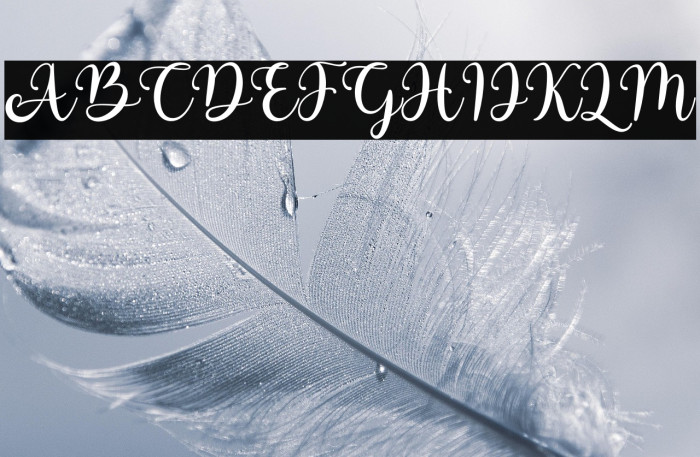 cute - Personal Use Example 1