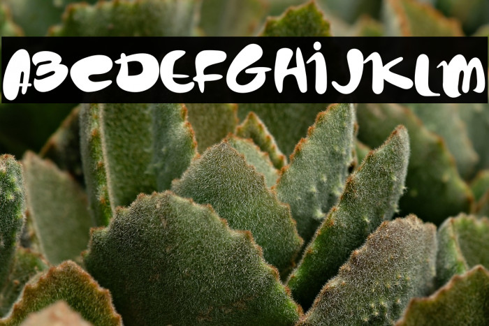 cute peppy Example 1