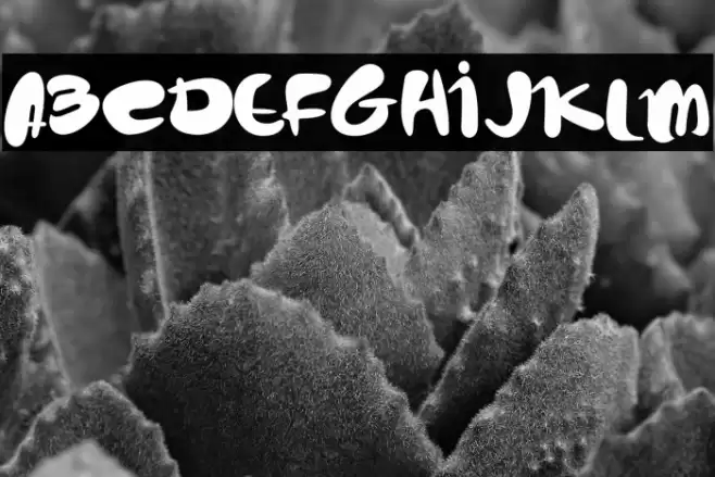 cute peppy Font examples