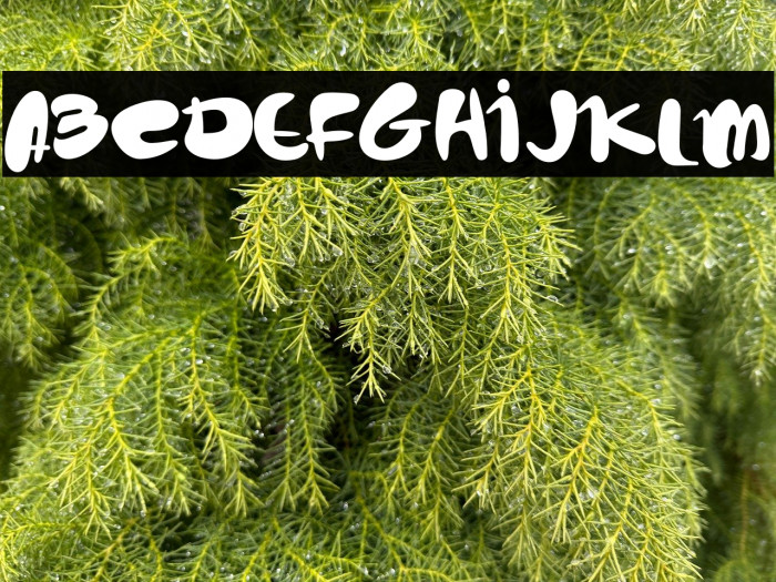 cute peppy Example 3