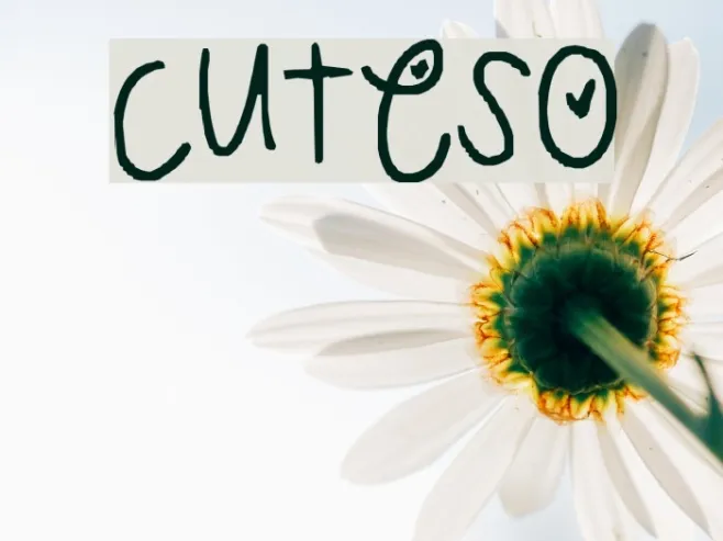 cuteso Example 3