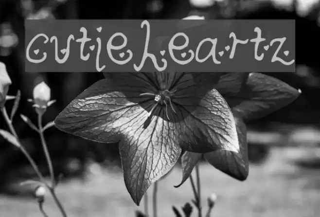 cutieheartz Font examples