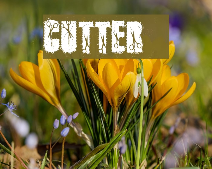 cutter Font examples