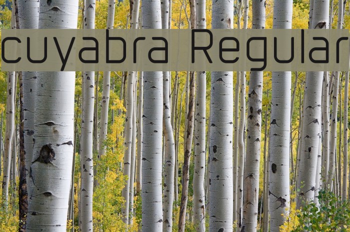 cuyabra Regular Font examples