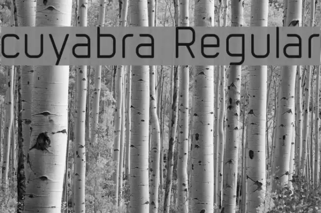 cuyabra Regular Font examples