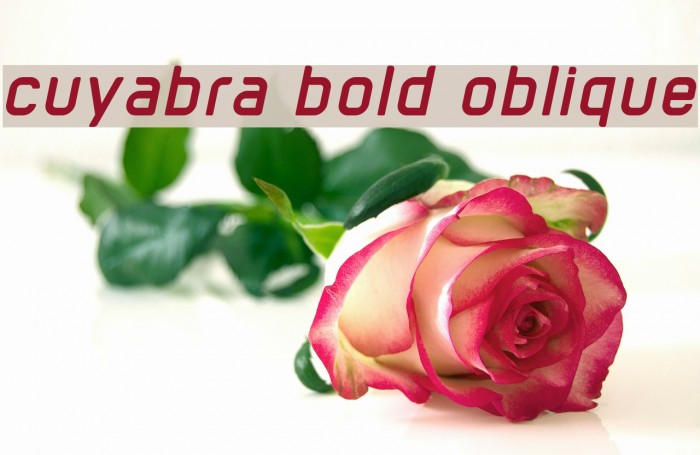 cuyabra bold oblique Font examples