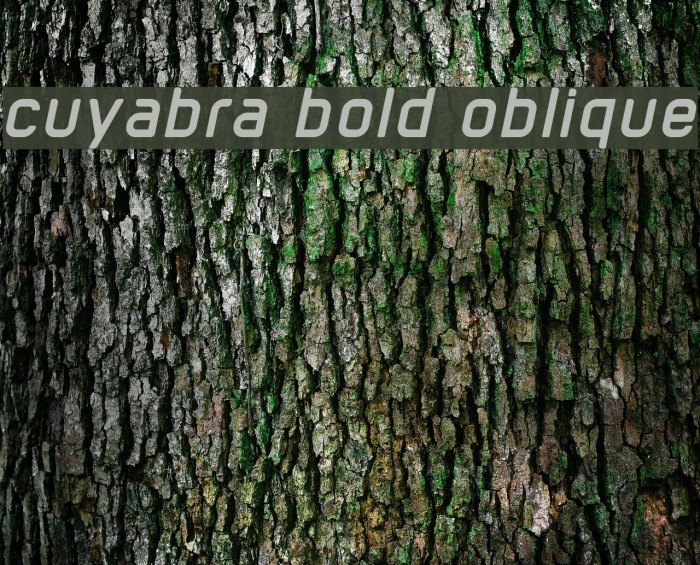 cuyabra bold oblique Font examples