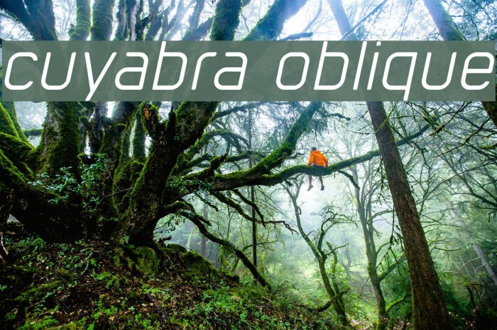 cuyabra oblique Font examples