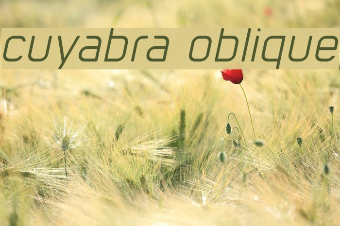cuyabra oblique Font examples