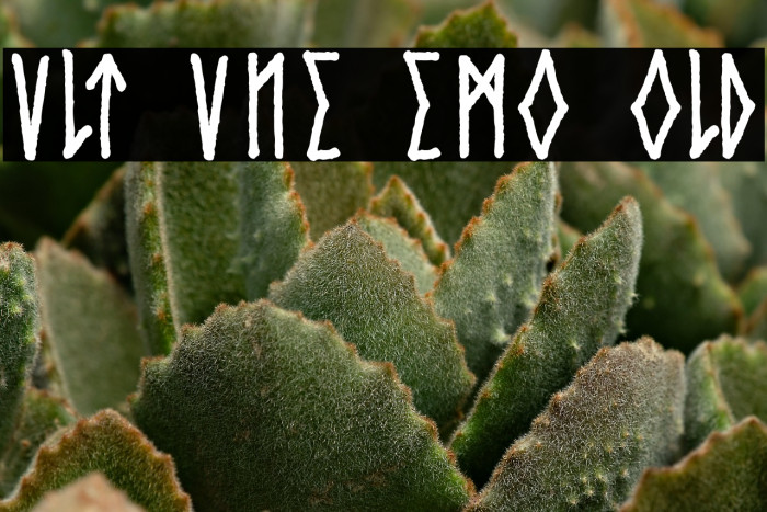 Cvlt Rvne Demo Bold Example 1