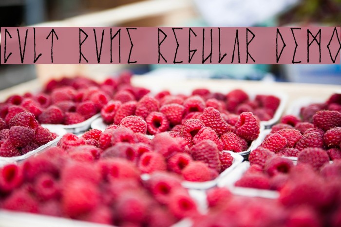 Cvlt Rvne Regular Demo Font examples