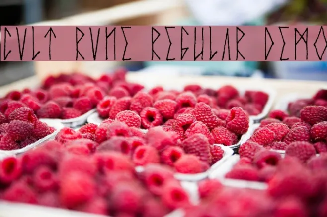 Cvlt Rvne Regular Demo Example 2