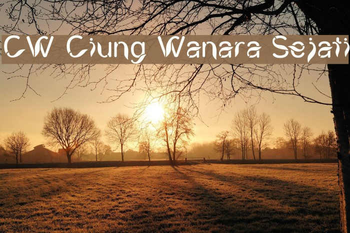 CW Ciung Wanara Sejati Font examples