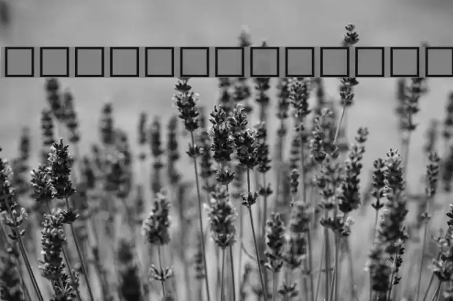 cwTeXKai Font examples