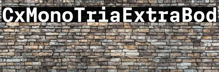 Cx Mono Trial Extra Bold Example 1