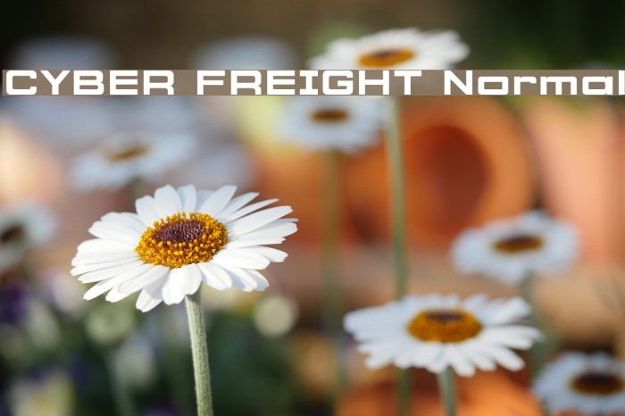 CYBER FREIGHT Normal Font examples