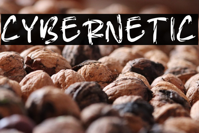 CYBERNETIC Example 1