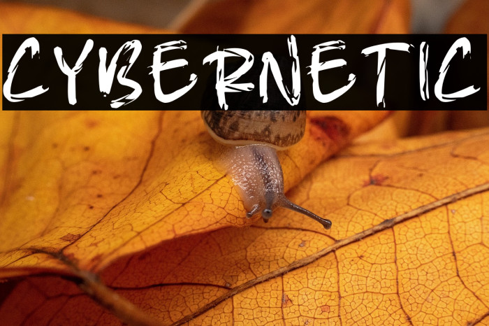 CYBERNETIC Example 2