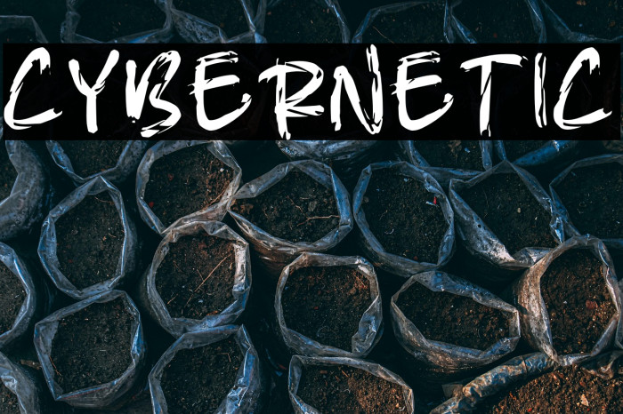 CYBERNETIC Example 3