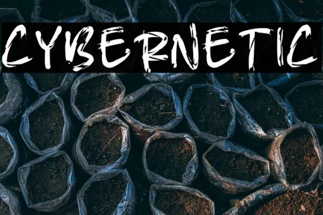 CYBERNETIC Example 3