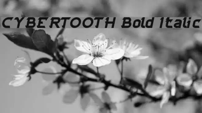 CYBERTOOTH Bold Italic Font examples