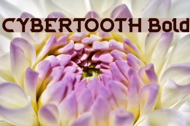CYBERTOOTH Bold Example 1