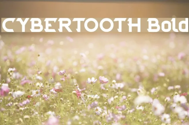 CYBERTOOTH Bold Example 2