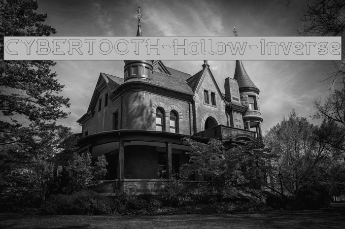 CYBERTOOTH-Hollow-Inverse Example 1