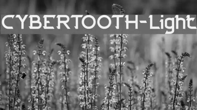 CYBERTOOTH-Light Font examples