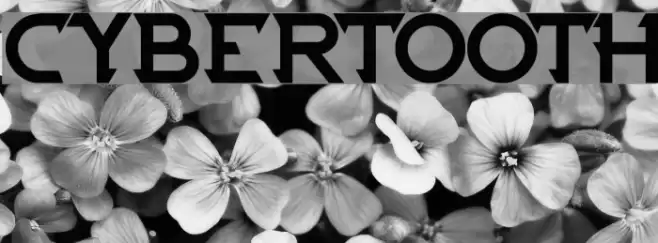 CYBERTOOTH Font examples