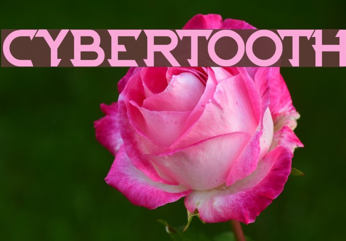 CYBERTOOTH Font examples