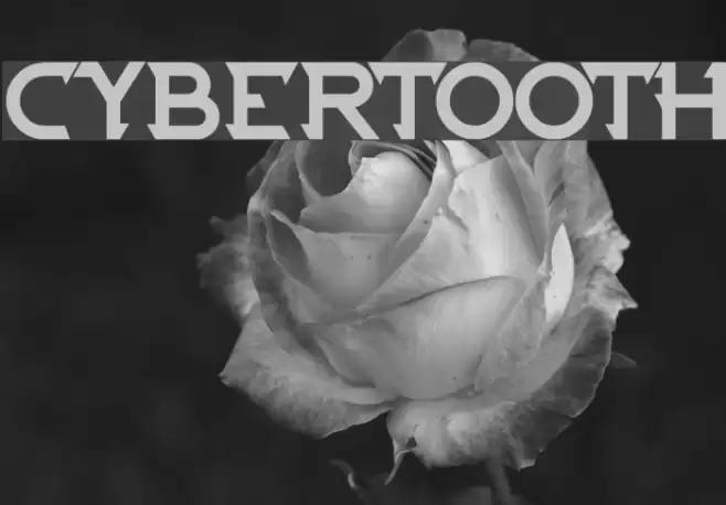 CYBERTOOTH Font examples