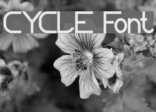 CYCLE Font examples