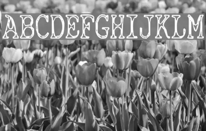 Cyanide Breathmint Шрифта examples