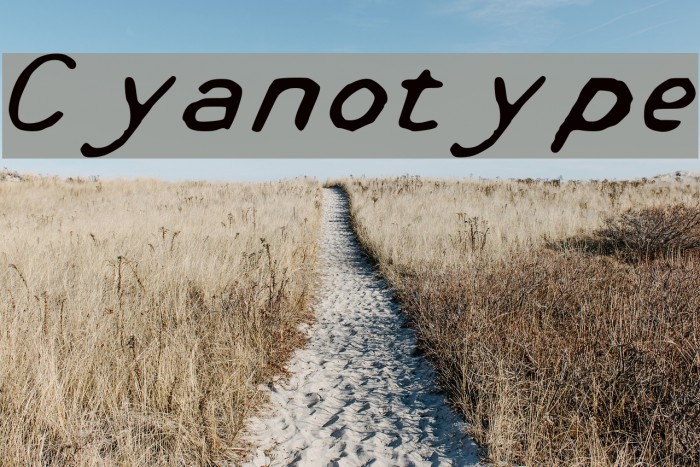 Cyanotype Font examples