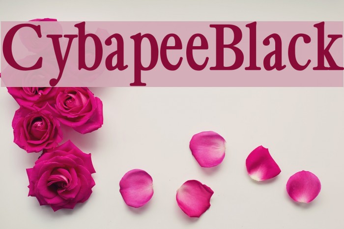 CybapeeBlack Font examples