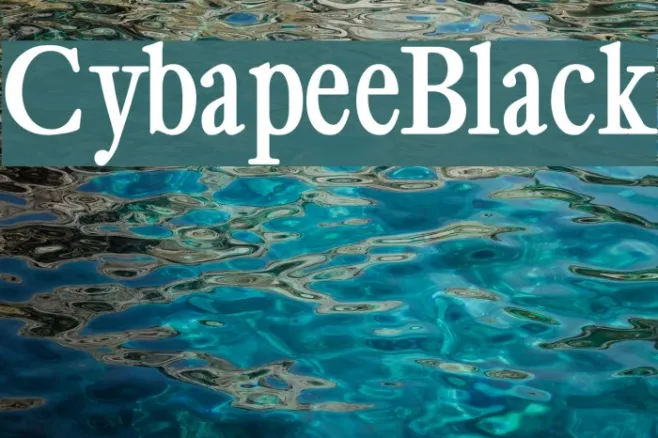 CybapeeBlack Example 2