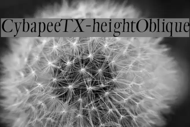 CybapeeTX-heightOblique फ़ॉन्ट examples