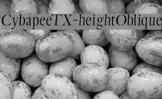 CybapeeTX-heightOblique फ़ॉन्ट examples