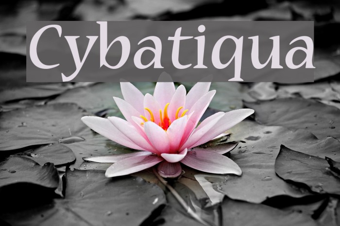 Cybatiqua Font examples